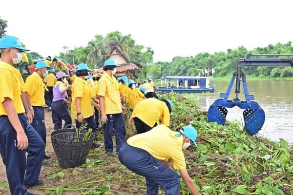 ภาพประกอบข่าว ลำดับที่ 3 จาก กิจกรรมจิตอาสากำจัดผักตบชวาในแม่น้ำเจ้าพระยา