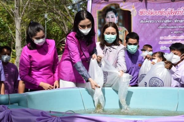 ภาพประกอบข่าว ลำดับที่ 13 จาก ร่วมพิธีปล่อยพันธุ์สัตว์น้ำถวายเป็นพระราชกุศล เนื่องในวันเฉลิมพระชนมพรรษาสมเด็จพระนางเจ้าสุทิดา พระบรมราชินี