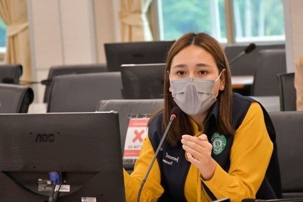 ภาพประกอบข่าว ลำดับที่ 2 จาก ร่วมประชุมคณะอนุกรรมการอนุรักษ์และพัฒนาเมืองเก่าอุทัยธานี ครั้งที่2/2564