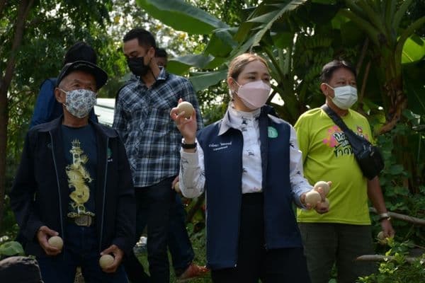 ภาพประกอบข่าว ลำดับที่ 10 จาก ลงพื้นที่ตรวจน้ำท่วมขังบ้านเรือนประชาชน พร้อมทั้งโยน EM ball บริเวณที่น้ำท่วมขัง