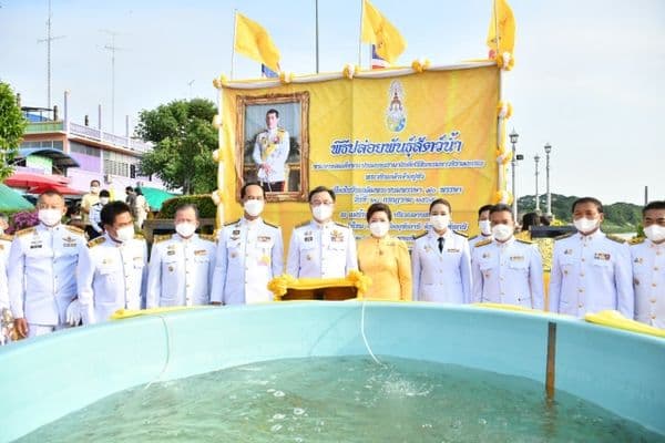 ภาพประกอบข่าว ลำดับที่ 1 จาก พิธีปล่อยพันธุ์สัตว์น้ำ